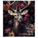 Зошит Школярик The New Ambience 48 аркушів клітинка (048-3371K)