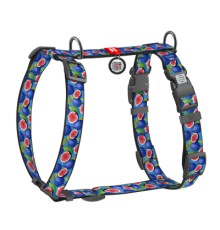 Шлея для собак WAUDOG Nylon анатомічна H-подібна з QR-паспортом 