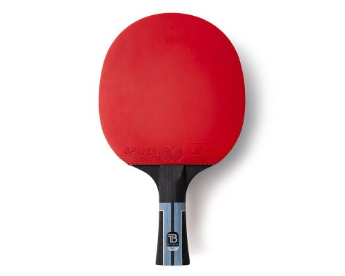 Ракетка для настільного тенісу Butterfly Timo Boll Progress FL (6110200002) (931844)