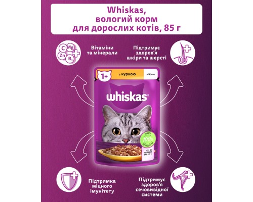 Вологий корм для кішок Whiskas Курка в желе 85 г (5900951302138)