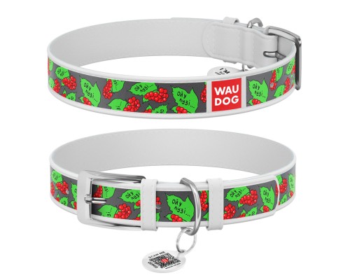 Нашийник для тварин WAUDOG Design з QR паспортом 