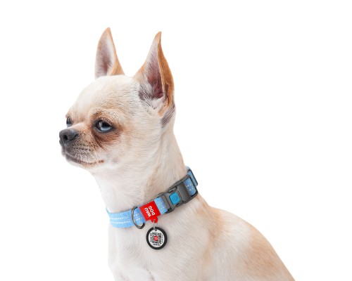 Нашийник для тварин WAUDOG Re-cotton з QR паспортом світловідбивний Ш 15 мм Д 25-35 см блакитний (02862)