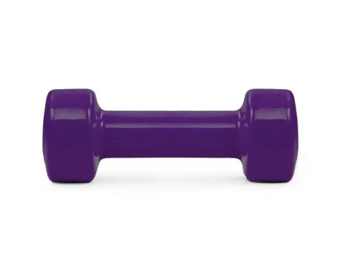 Гантель PowerPlay вінілові 4125 Achilles 2 х 2.5 кг Фіолетові (PP_4125_2.5kg_2in)