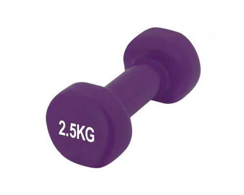 Гантель PowerPlay вінілові 4125 Achilles 2 х 2.5 кг Фіолетові (PP_4125_2.5kg_2in)