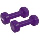 Гантель PowerPlay вінілові 4125 Achilles 2 х 2.5 кг Фіолетові (PP_4125_2.5kg_2in)