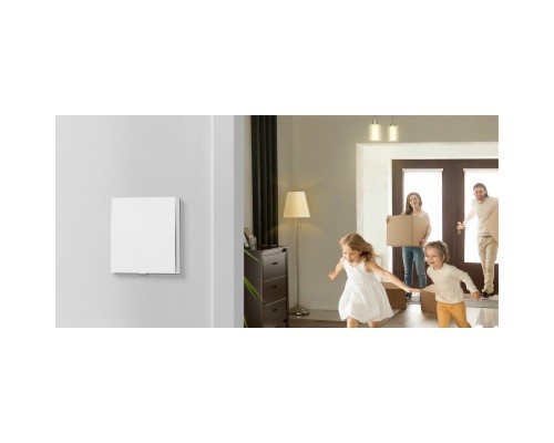 Розумний вимикач TP-Link Tapo S210 868 MHz 250V 4A (TAPO-S210)