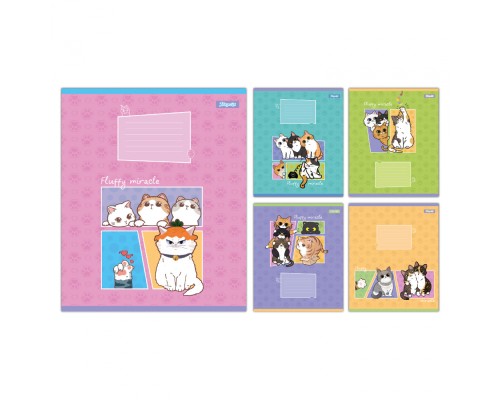 Зошит 1 вересня Fluffy miracle А5 18 аркушів клітинка (768161)