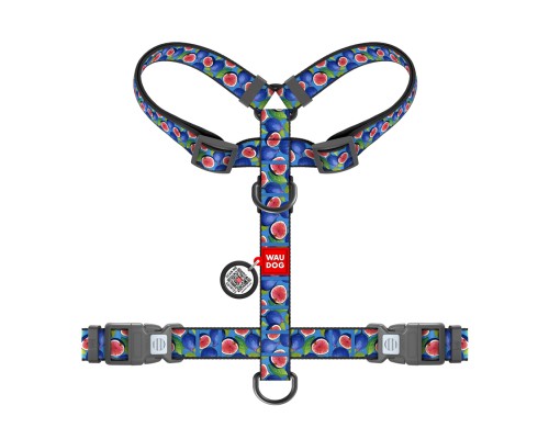 Шлея для собак WAUDOG Nylon анатомічна H-подібна з QR-паспортом 