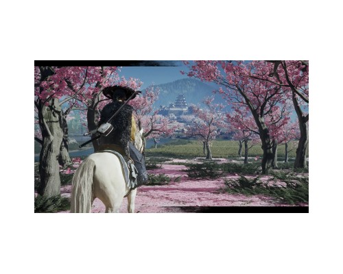 Гра Sony Ghost of Yotei Collector's Edition (1000048818)