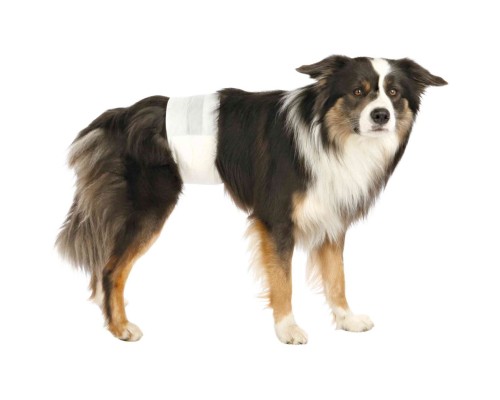 Підгузки для тварин Trixie для собак (кобелів) L-XL 60-80 см 12 шт (4011905236438)
