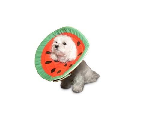 Комір для тварин MISOKO&CO Кавун L 32-35 см (SINMISOK30323)