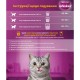 Вологий корм для кішок Whiskas Лосось у соусі 85 г (5900951302053)