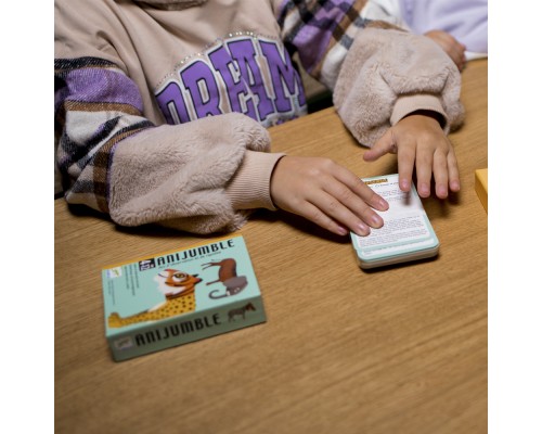 Настільна гра Djeco Весела плутанина (DJ05092)