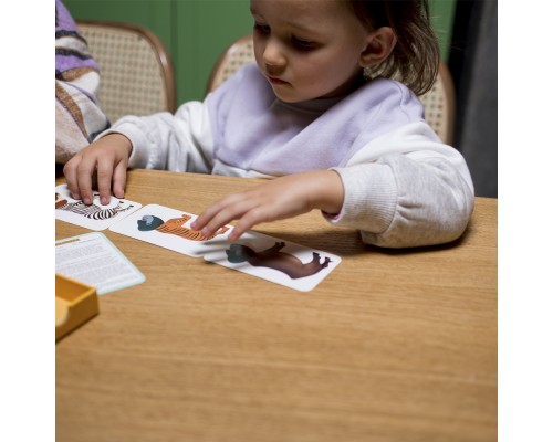 Настільна гра Djeco Весела плутанина (DJ05092)