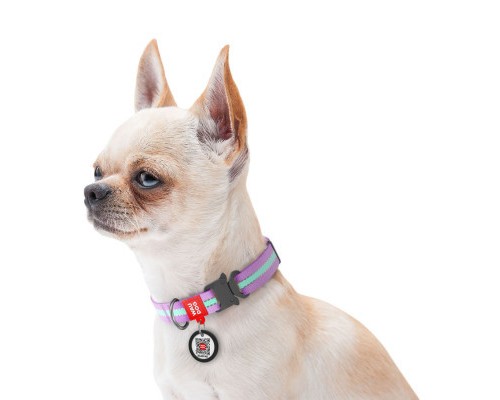 Нашийник для тварин WAUDOG Nylon світонакоплювальний, металічна пряжка-фастекс S фіолетовий (52129)