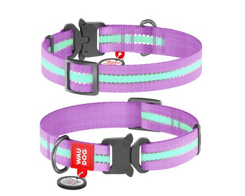 Нашийник для тварин WAUDOG Nylon світонакоплювальний, металічна пряжка-фастекс S фіолетовий (52129)