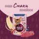 Вологий корм для кішок Delickcious Пластівці з качкою та лісовими ягодами у вершковому соусі 80 г (4820269141834)