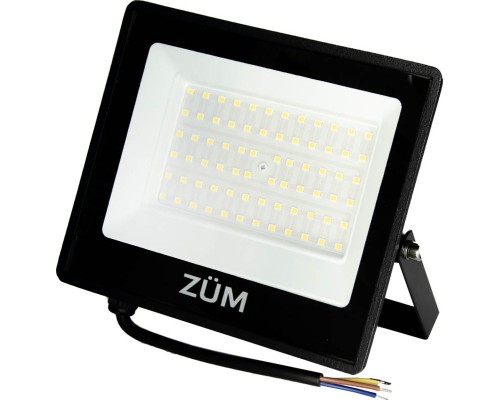 Прожектор Євросвітло ZUM F02-50 4200K