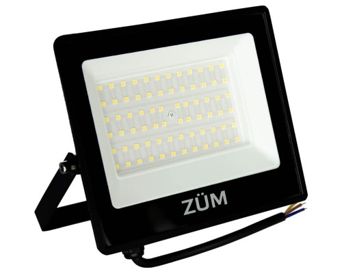 Прожектор Євросвітло ZUM F02-50 4200K