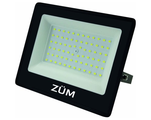Прожектор Євросвітло ZUM F02-50 4200K