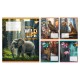 Зошит Yes The wild in the city А5 96 аркушів лінія (767773)