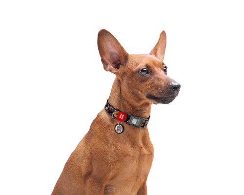 Нашийник для тварин WAUDOG Nylon з QR адресником 