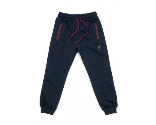 Штани дитячі Joi спортивні (C-226-152B-blue)