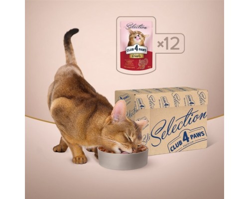 Вологий корм для кішок Club 4 Paws Selection Плюс Смужки з індичкою в крем супі з моркви 85 г (4820215368070) Вологий корм для кішок Club 4 Paws Selection Плюс Смужки з індичкою в крем супі з моркви 85 г (4820215368070)