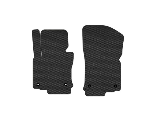 Килимок в салон EVAtech передні Volkswagen Golf (V) AT 5-doors 2004 (VW31211A2TL4RBB)