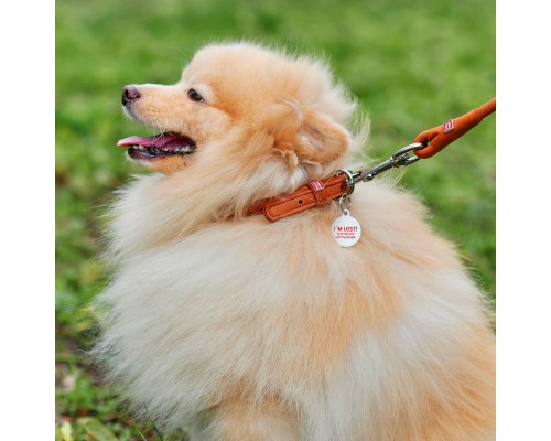 Нашийник для тварин WAUDOG Soft з QR паспортом круглий Д 8 мм Д 20-25 см коричневий (22316)