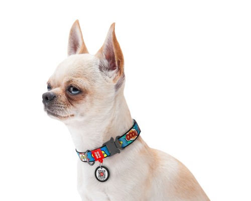 Нашийник для тварин WAUDOG Nylon 