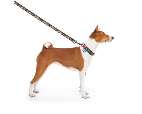 Нашийник для тварин WAUDOG Nylon з QR паспортом 