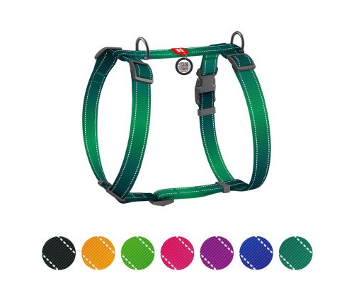 Шлея для собак WAUDOG Nylon Mono з QR-паспортом, пластиковий фастекс S зелена (527118)