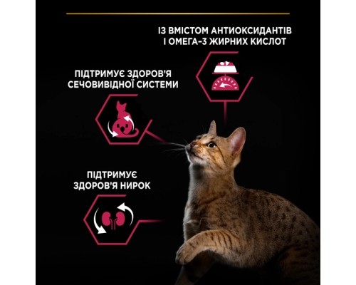 Сухий корм для кішок Purina Pro Plan Sterilised Adult 1+ Savoury Duo Після стерилізації З тріскою та фореллю 1.5 кг (7613036732413) Сухий корм для кішок Purina Pro Plan Sterilised Adult 1+ Savoury Duo Після стерилізації З тріскою та фореллю 1.5 кг (7613036732413)
