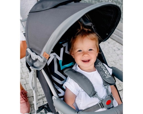 Коляска Lionelo Elia Green Forest (LO-ELIA GREEN FOREST)