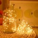 Гірлянда ColorWay Струна LED 100 10 м теплий колір 3 AA Battery (CW-G-100L10NB)