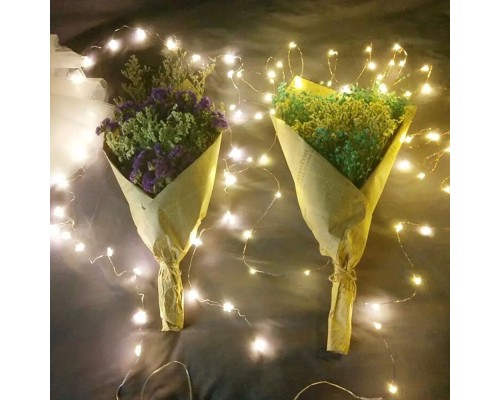 Гірлянда ColorWay Струна LED 100 10 м теплий колір 3 AA Battery (CW-G-100L10NB)