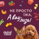 Вологий корм для кішок Delickcious Пластівці з кроликом та тропічними фруктами у вершковому соусі 80 г (4820269141841)