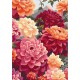 Картина по номерам ArtCraft Спекотне літо 40х50 см (13075-AC)