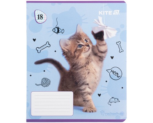 Зошит Kite Rachael Hale, 18 аркушів, клітинка (R25-236)