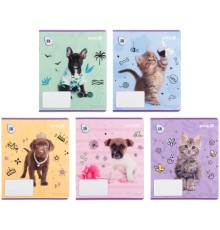 Зошит Kite Rachael Hale, 18 аркушів, клітинка (R25-236)