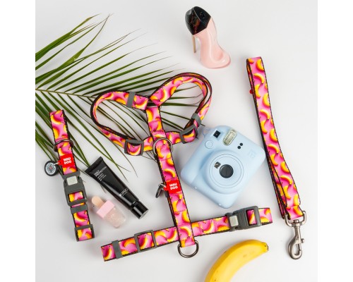 Нашийник для тварин WAUDOG Nylon з QR адресником 