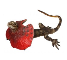 Фігурка Lanka Novelties Ящірка плащоносна, 55 см (21550)