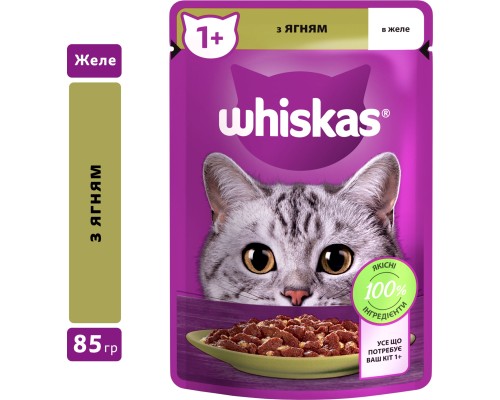 Вологий корм для кішок Whiskas Ягня в желе 85 г (5900951302176)