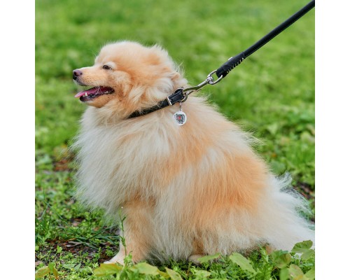 Нашийник для тварин WAUDOG Soft з QR паспортом круглий Д 8 мм Д 20-25 см чорний (22311)