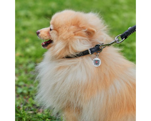 Нашийник для тварин WAUDOG Soft з QR паспортом круглий Д 8 мм Д 20-25 см чорний (22311)