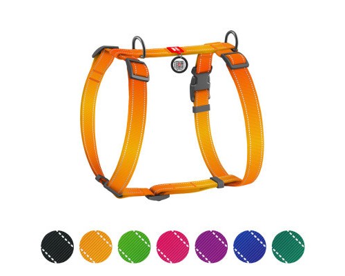 Шлея для собак WAUDOG Nylon Mono з QR-паспортом, пластиковий фастекс S помаранчева (52714)