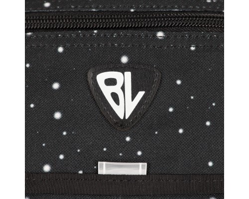 Рюкзак шкільний Bagland BL Відмінник 20 л. Чорний 1455 (00058070) (1123921615)