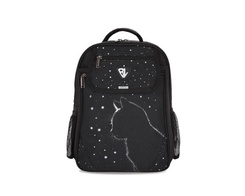 Рюкзак шкільний Bagland BL Відмінник 20 л. Чорний 1455 (00058070) (1123921615)