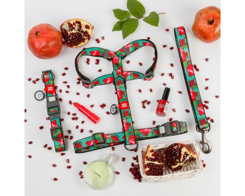 Нашийник для тварин WAUDOG Nylon з QR адресником 